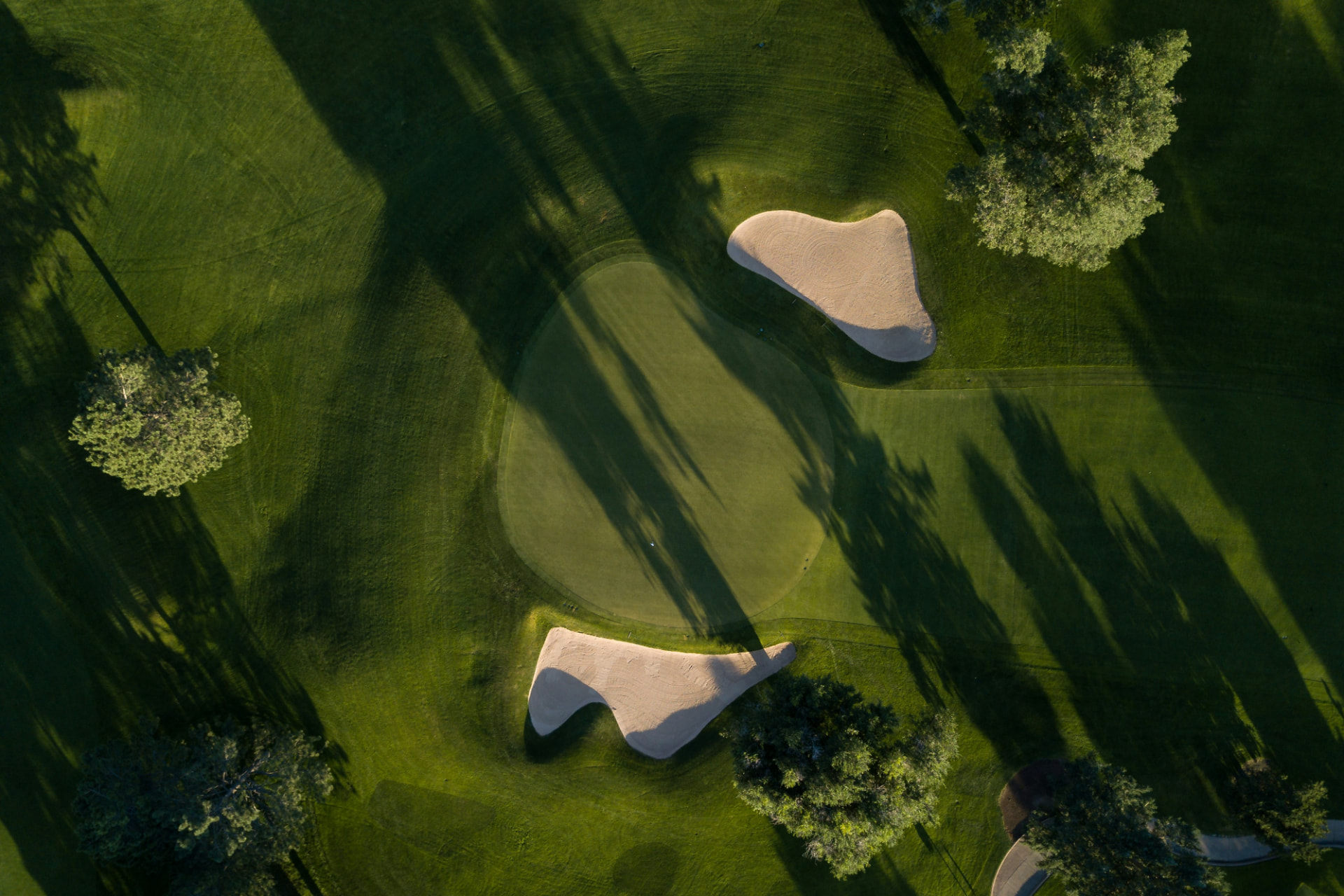 Golf green with bunkers and long tree shadows from the air. (AI-generated image)